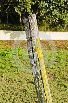 Wire Fence Post