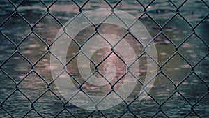 Wire Fence In The Rain By Flooded Ground