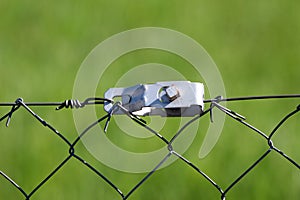 Wire fence strong grey metal tensioner closeup on light green background photo