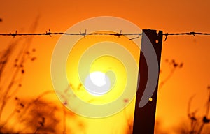 Wire Fence at Sunset