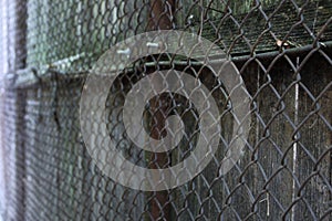 A wire fence and wood