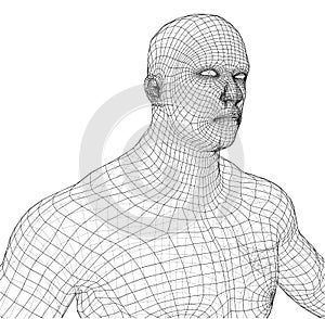 Wire frame athlete body on white background
