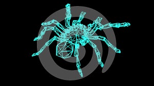 wire frame model of spider