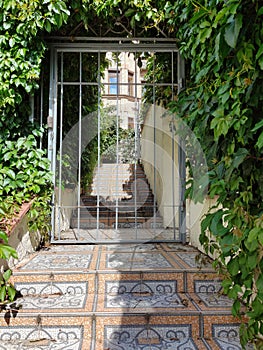 Wire gate on stone steps made of tiles. A vine weaves around it