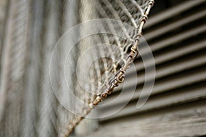 Wire Mesh