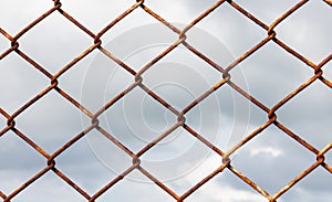 Wire Mesh Fence