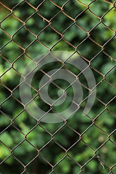 Wire Mesh Fence Close-Up on Green nature Background