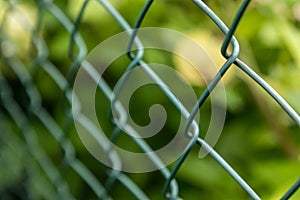 Wire Mesh Fence in my Backyard