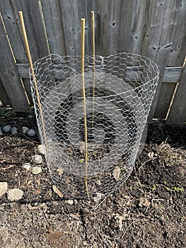 Wire mesh plant flower protector