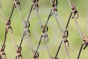 Wire net of old spring bed