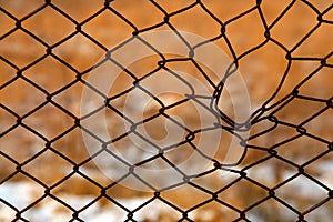 Wire netting