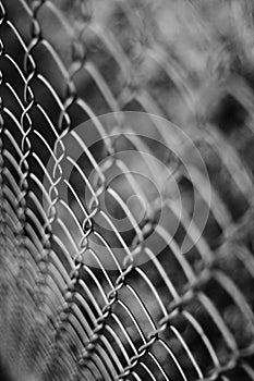 Wire netting - depth of field