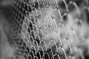 Wire netting - depth of field