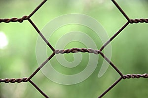 Wire netting fence