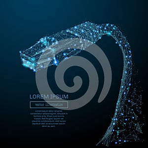 Wire network connection or ethernet cable