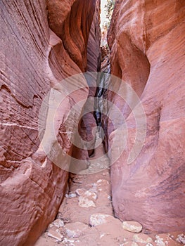 Wire Pass Slot Canyon in Utah