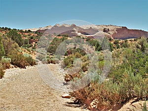 Wire Pass Trail to Buckskin Gulch