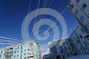 Wire plastered with snow