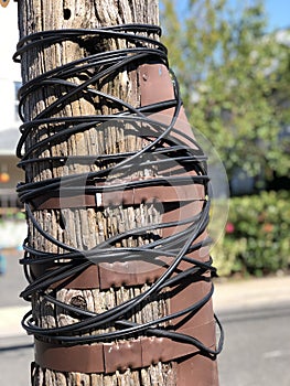 Wire on pole on streeet