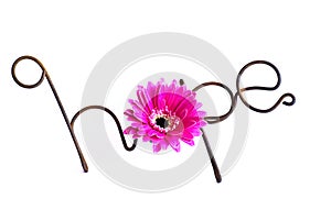 Wire Word: Hope