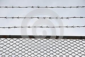 Wired fence