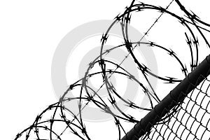 Wired fence with barbed wires