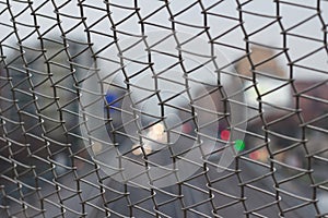 Wired fence and blurry background, wired fence and light bokeh b