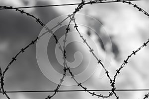 Wired fence with rolled barbed wires on white background.