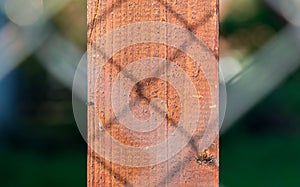 Wired fence shadow on pine wood pylon close up shot