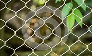 Wired Fence in Zoo