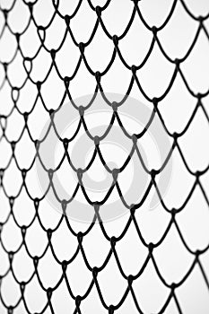 Wired mesh cage