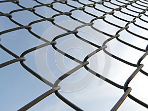 Wired mesh fence