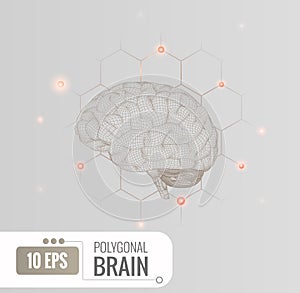 Wireframe brain illustration with connection dots BG
