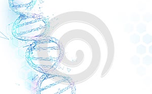 Wireframe DNA molecules structure mesh on white background. Science and Technology concept