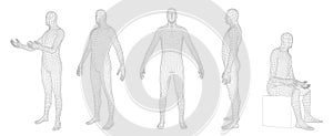 Wireframe human body. Polygonal 3D mesh male character, man dummy hologram grid and virtual reality cyber human model. Vector set