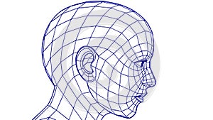 Wireframe Human Head, Artificial Intelligence Concept, vector design Generative AI