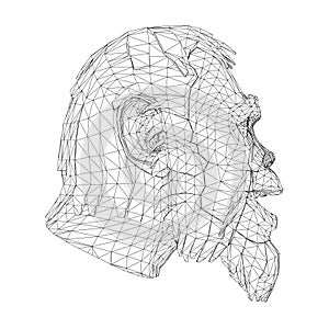 Wireframe low poly head of a Neanderthal. Wireframe head of a prehistoric man. Side view. 3D. Vector illustration