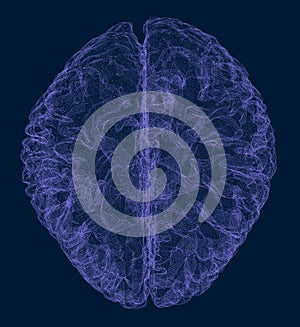 Wireframe polygonal human brain 3D. Vector illustration