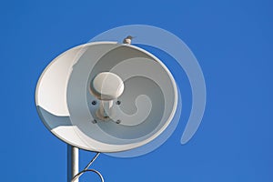 Wireless Dish And Hummingbird