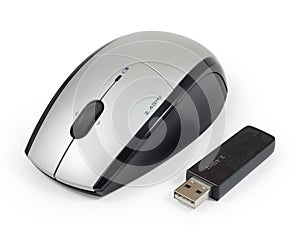 Wireless mouse with usb adapter.