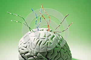 Wires on Brain Specimen