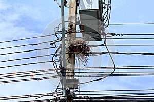 Wires and nest