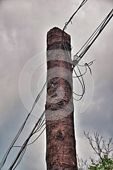 Wires and Telephone Pole
