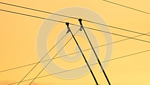 Wires of a trolleybus against the sky at sunset