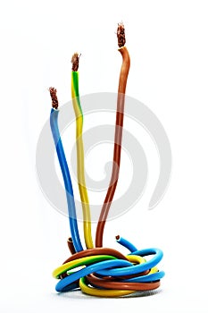 Wires used in European Single-phase electric wiring.