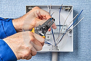 Wiring in domestic consumer unit circuit breaker photo