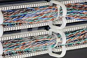 Wiring harnesses to the growth cable