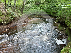 Wisconsin Creek