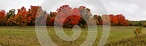 Wisconsin hayfield next to a colorful forest in September