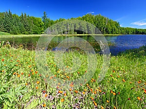 Wisconsin Lake Landscape